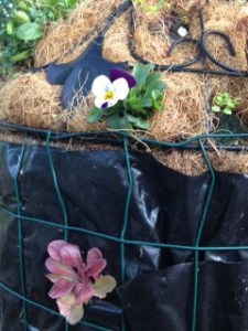 Flowers grow well on this too. 