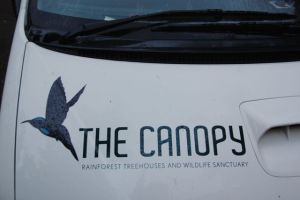 Canopy hosts took us to a local pond near the tree houses to watch duck-billed platypus at dusk. 