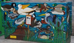 Utility boxes in Fort Collins, Colorado, are painted with varied scenes by local citizens. 