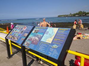 Signs have helped people understand that the still lumps on reefs are living animals that can be easily harmed by people.  