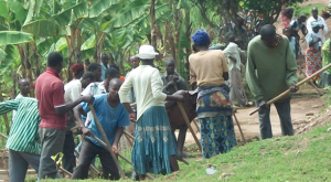 Screen Shot 2014-12-03 at 9.04.45 PM