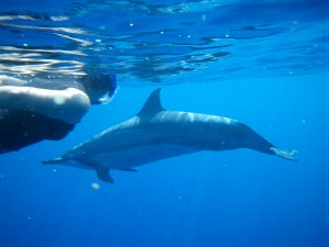 Some come close to take a look at us as we study them. 