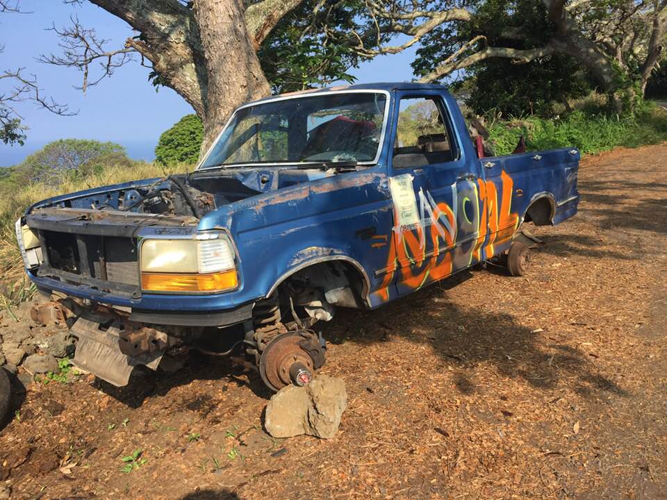 33429051_10213537918017151_745468256566902784_n